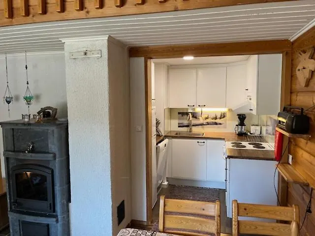 Apartamento Salmelankartano P3a Naeaetaenpesae Visit